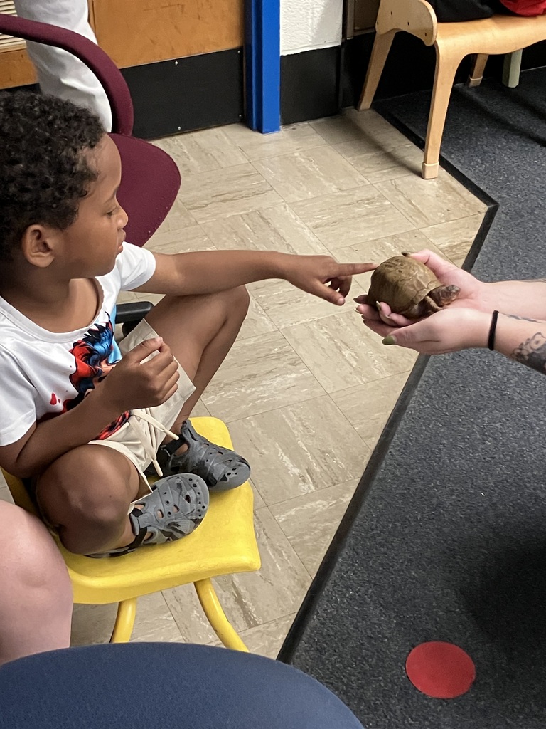 student carefully touching a small turtle on the shell