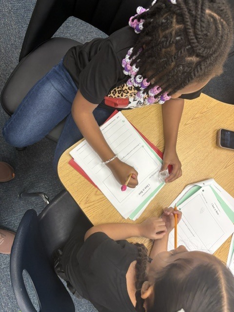 Science is buzzing in 2nd grade