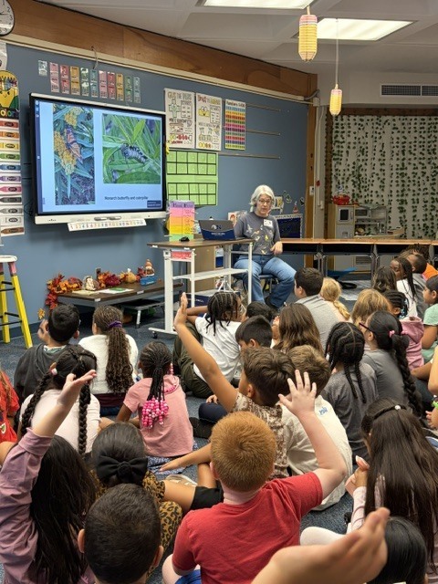 2nd Grade Pollinator Presentation