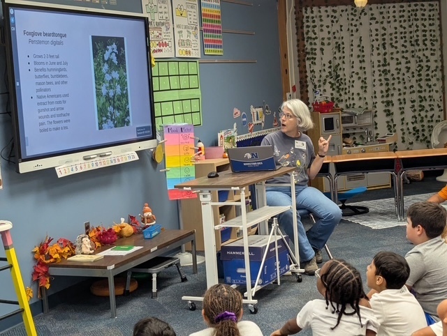 2nd Grade Pollinator Presentation