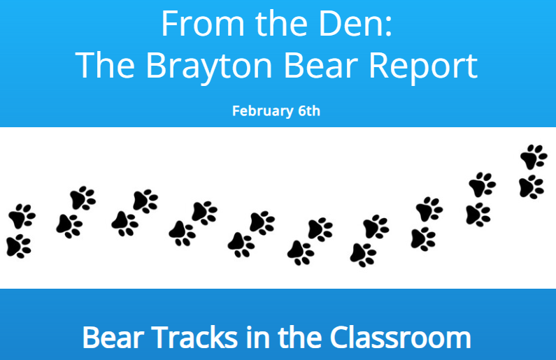 Brayton Bear Report