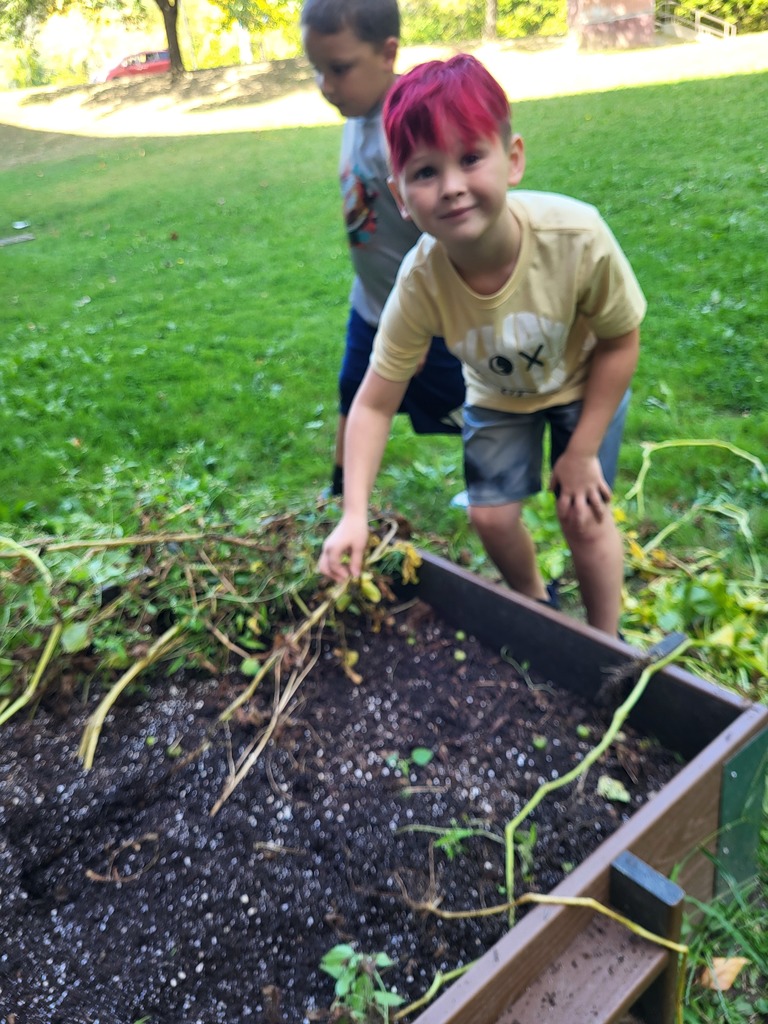 Garden Harvest