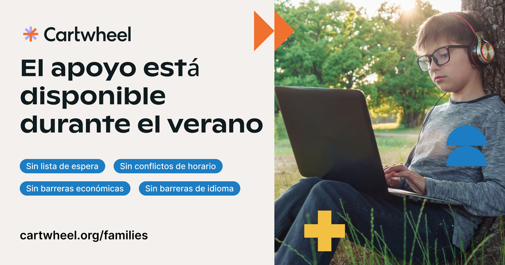 Cartwheel Flyer(Spanish)