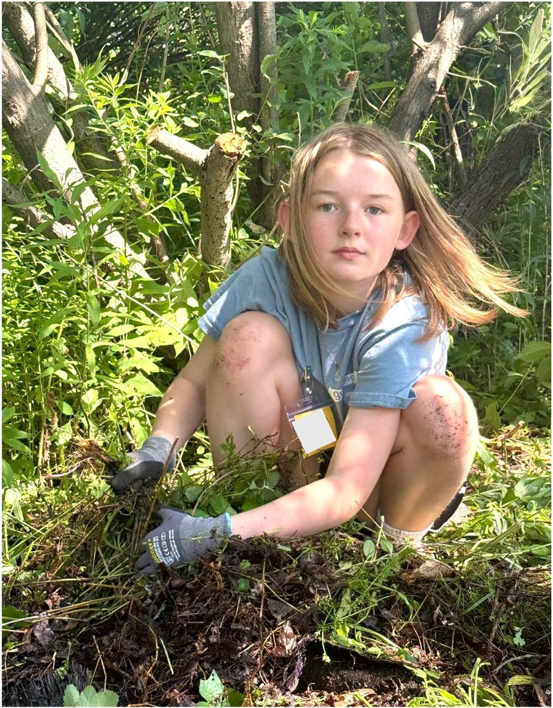 Student harvesting