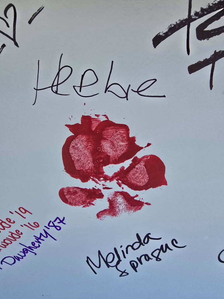 Herbie paw print
