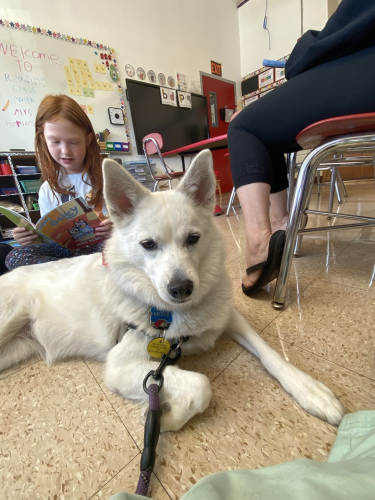Meeka