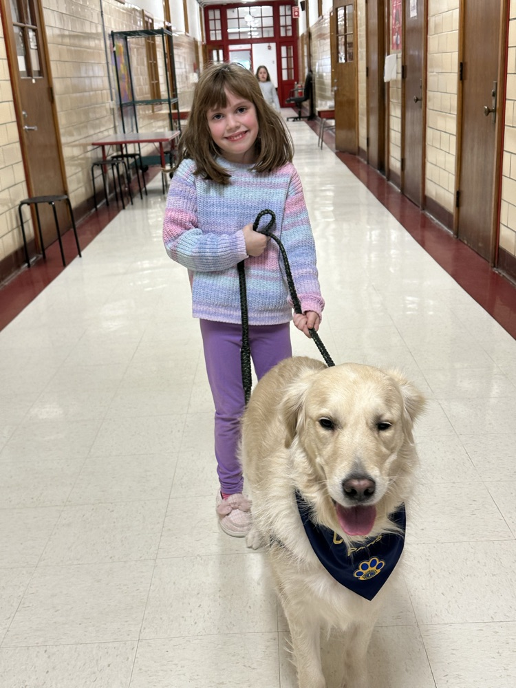 Therapy Dog
