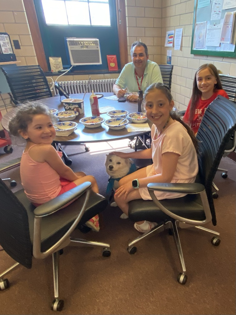 pet pictures contest winner
