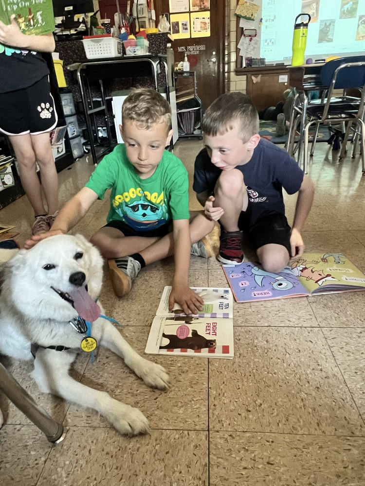 Therapy Dog
