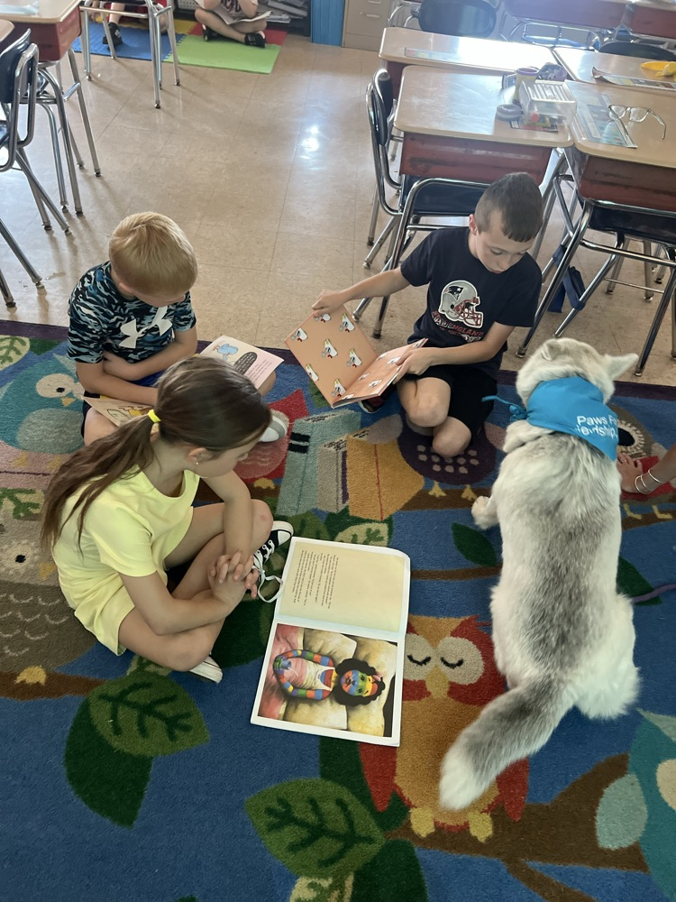 Therapy Dog