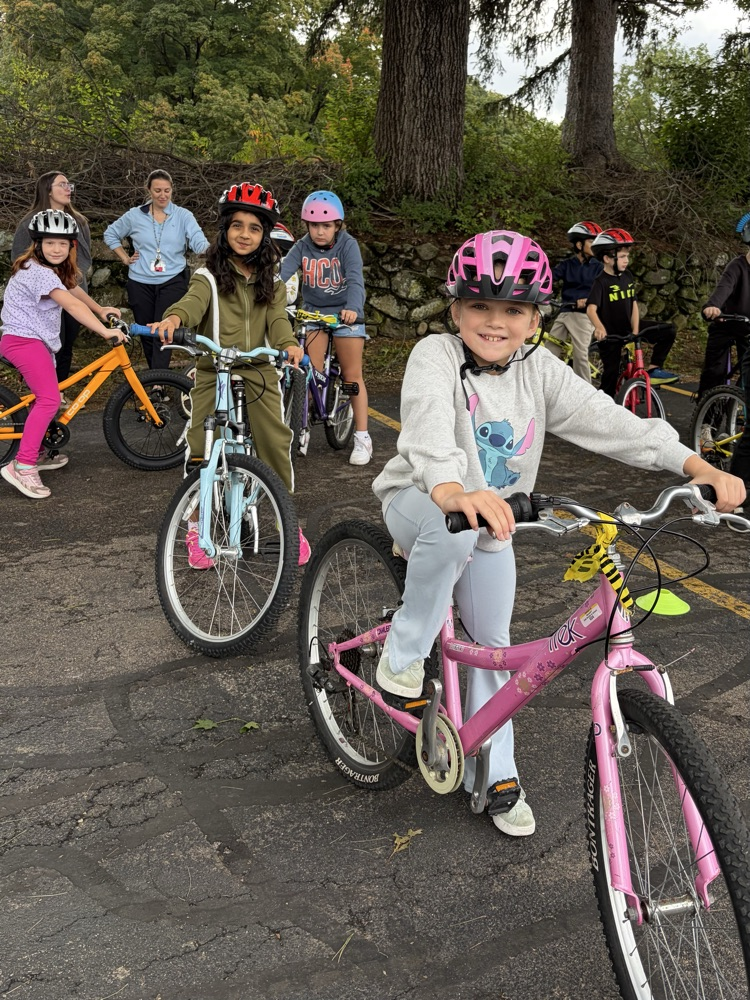 Bike Safety