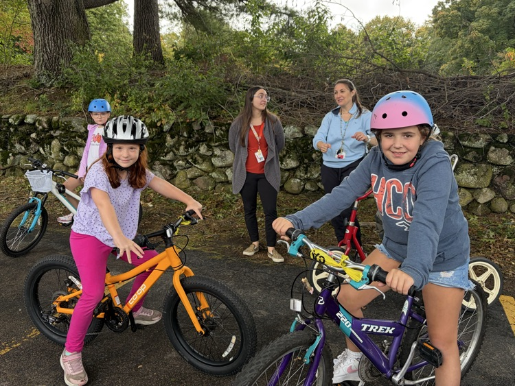 Bike Safety