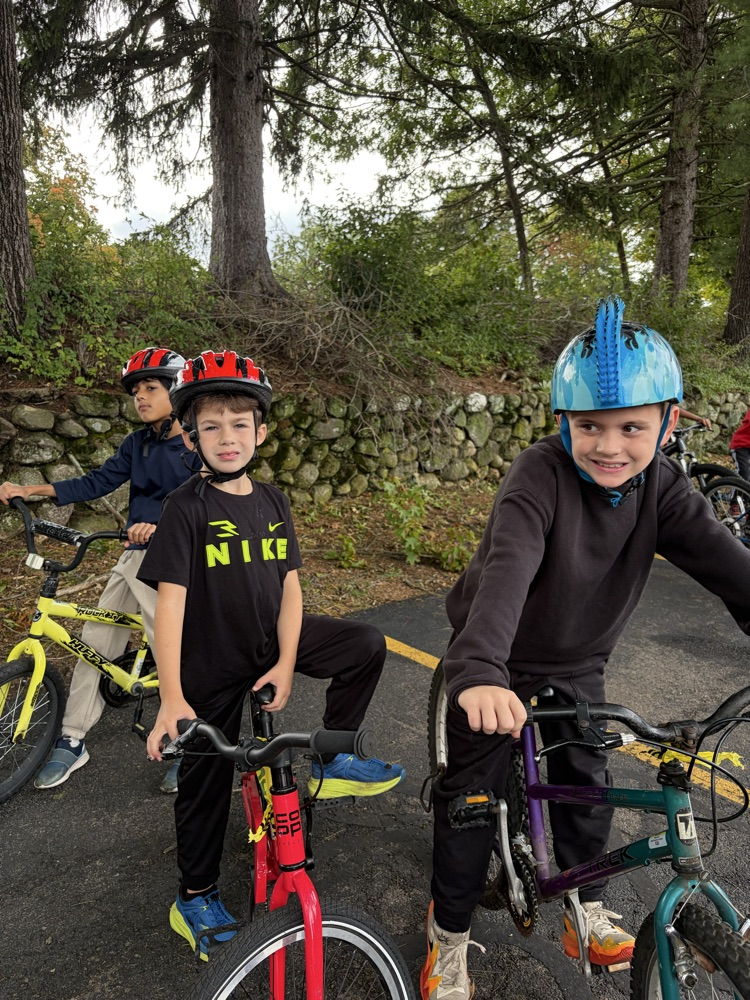 Bike Safety