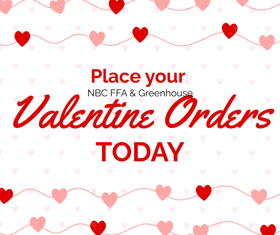Valentine Orders