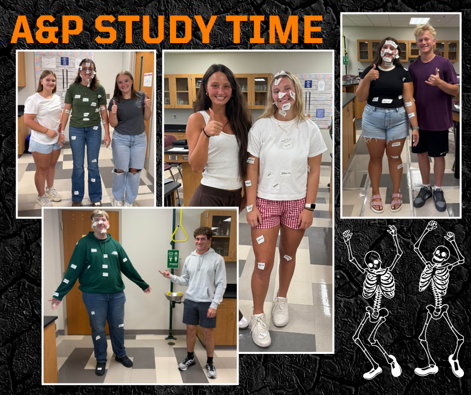 A&P CLASS STUDYING