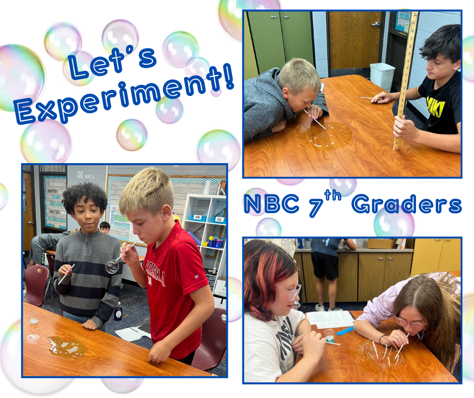 7th Grade Science Experiment