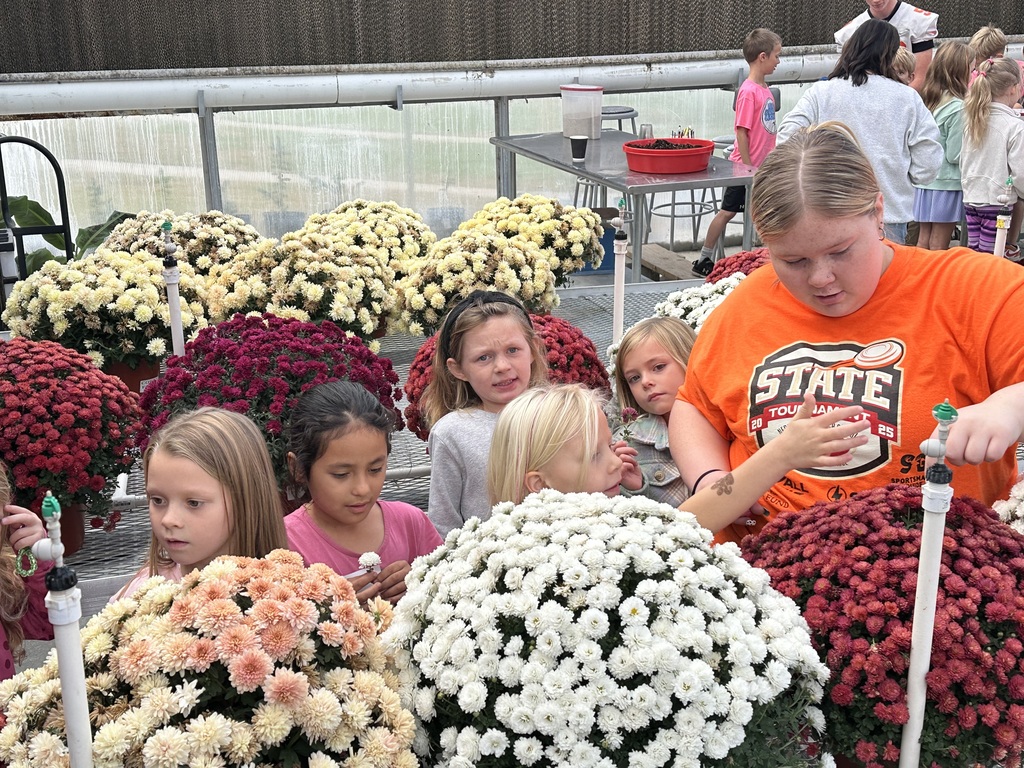 1st Grade Field Trip