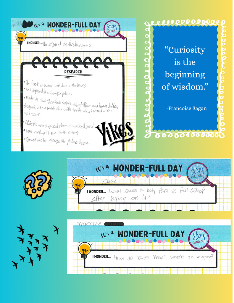 Wonder-Full Day Research Curiosity