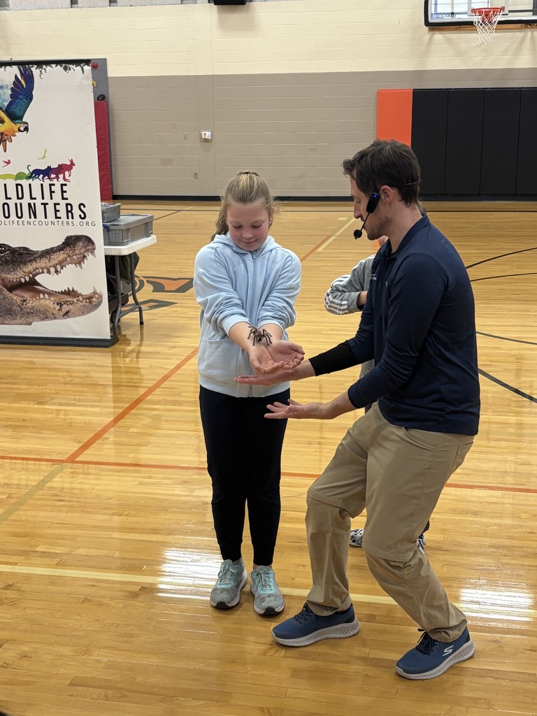 Wildlife Encounters2