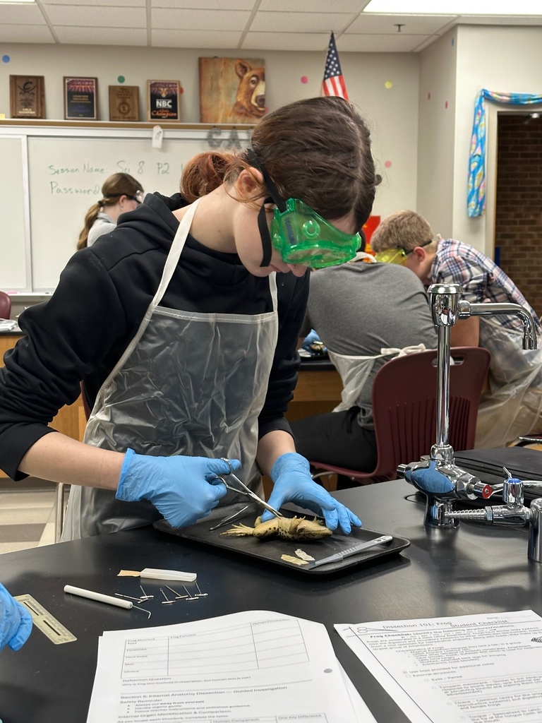 dissecting frogs