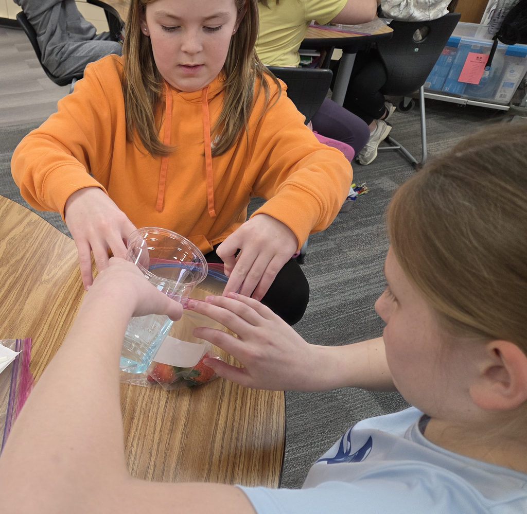 5th Graders Extracting DNA from Strawberries