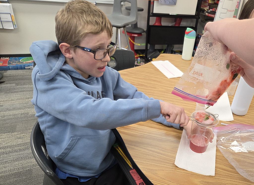 5th Graders Extracting DNA from Strawberries