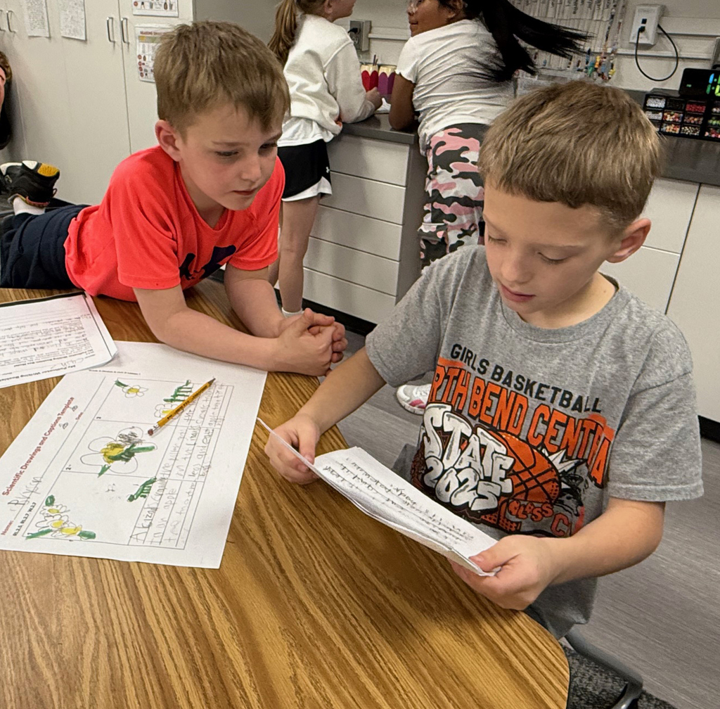 2nd Grade Pollinator Posters