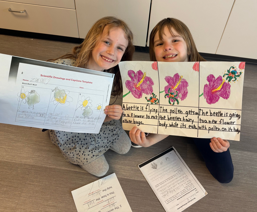 2nd Grade Pollinator Posters