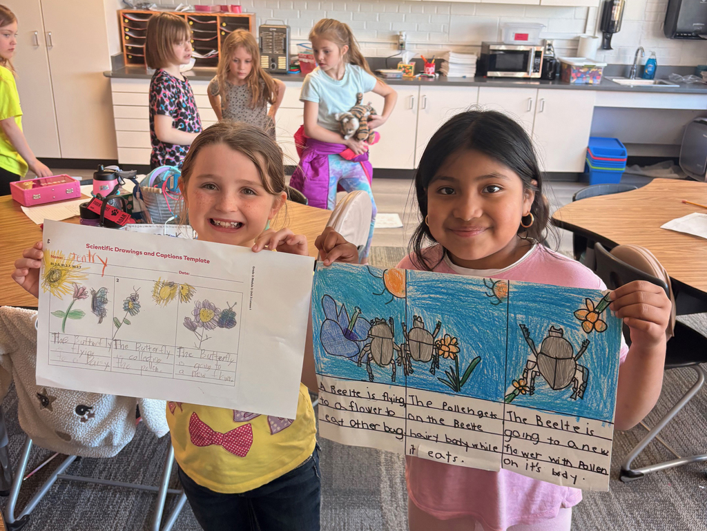 2nd Grade Pollinator Posters