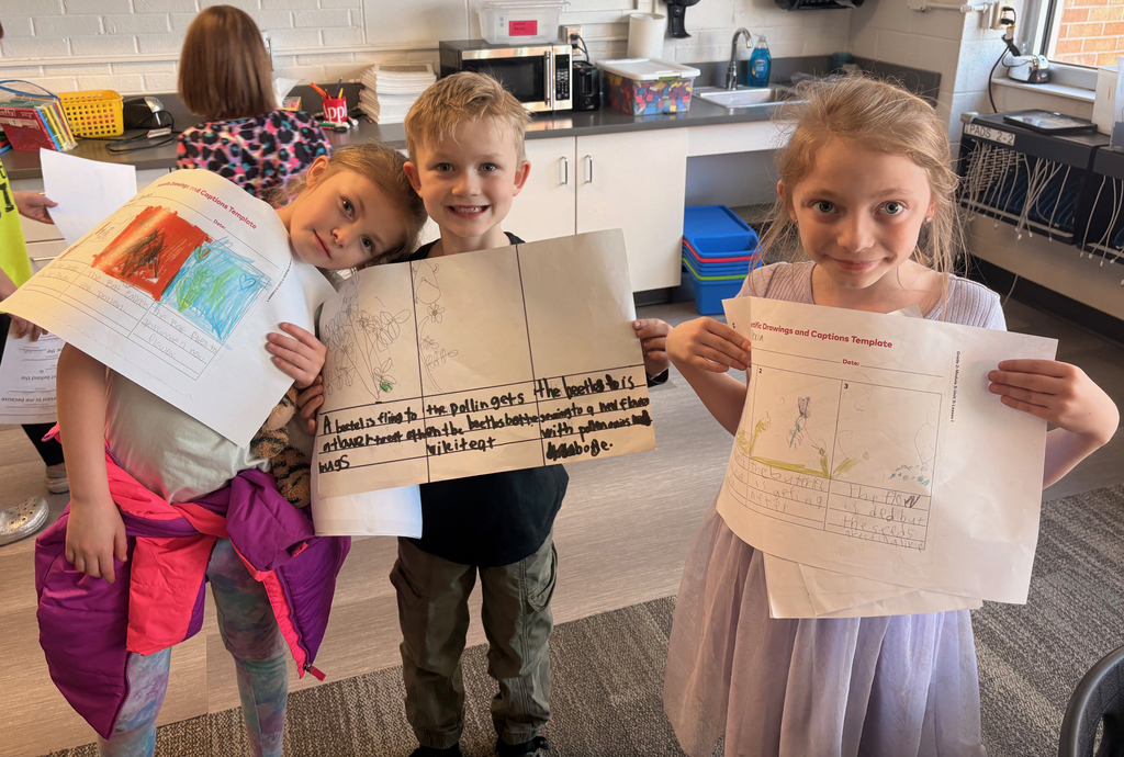 2nd Grade Pollinator Posters