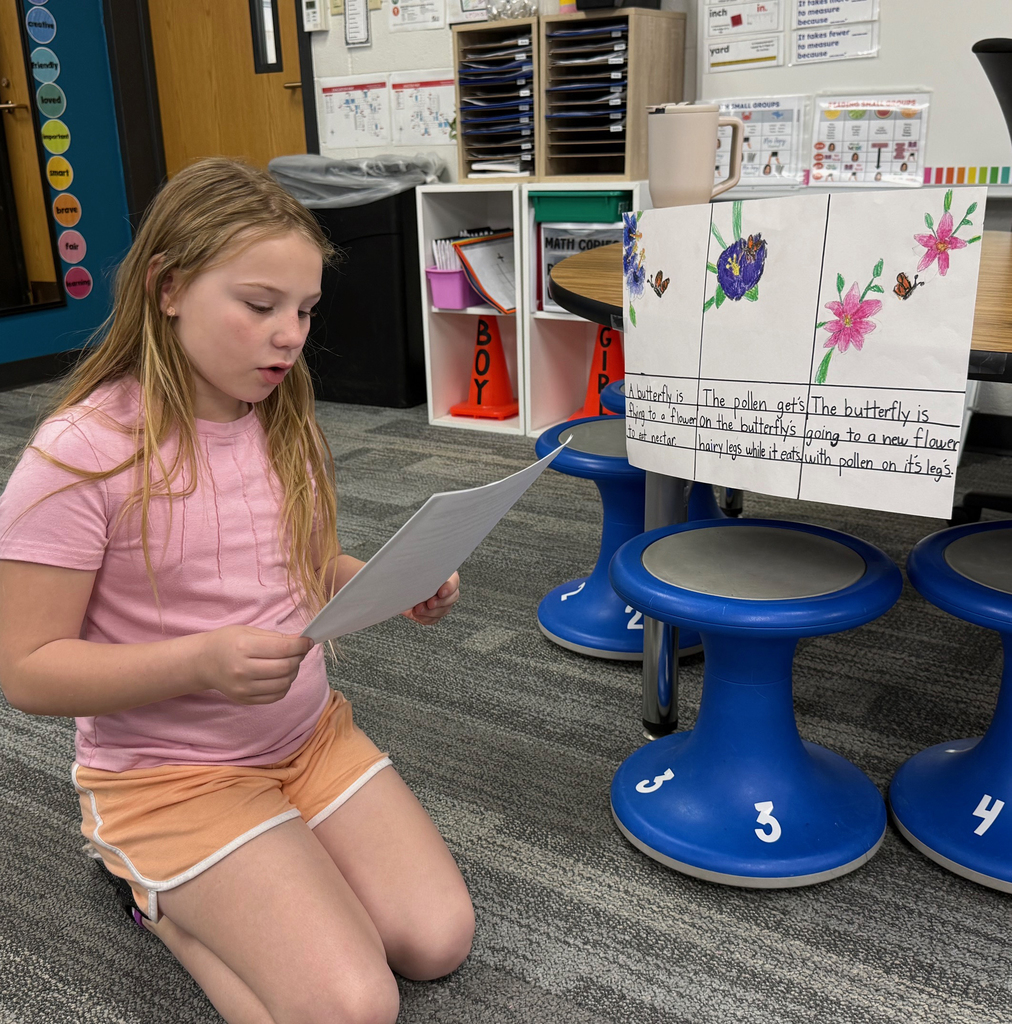 2nd Grade Pollinator Posters