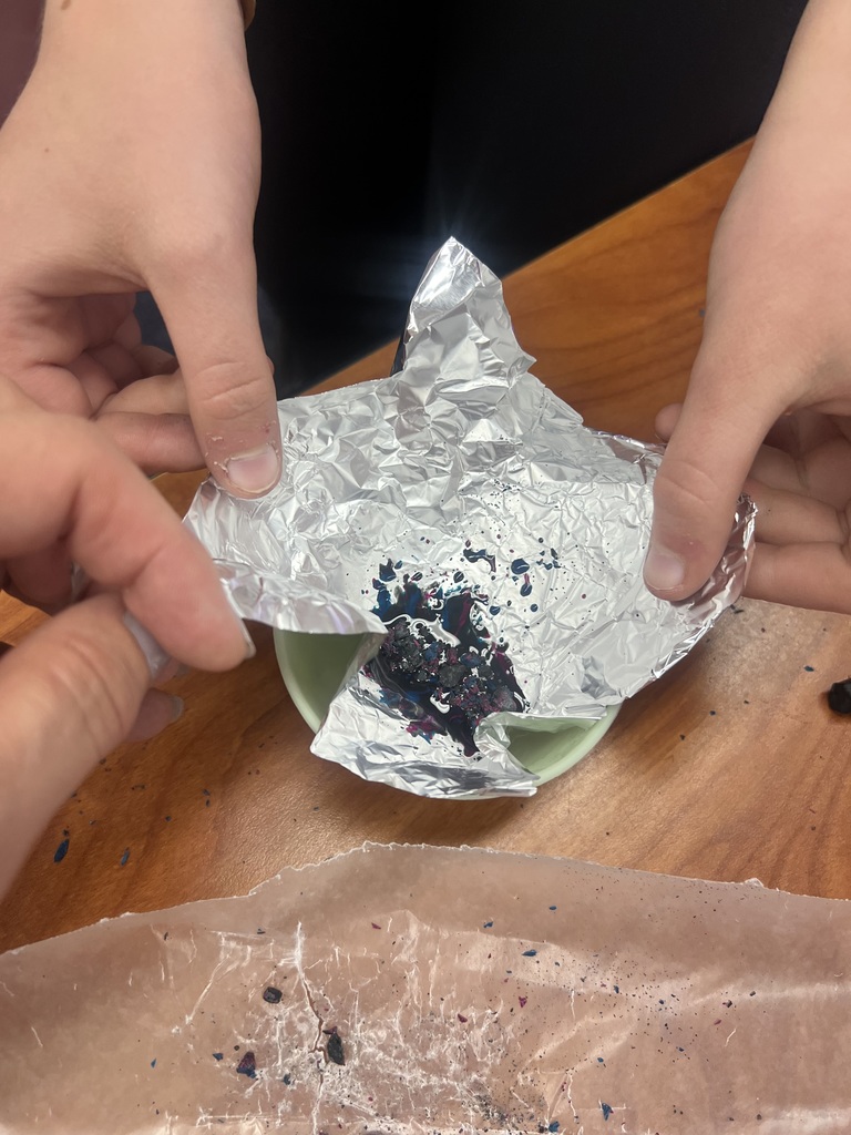 MS Science