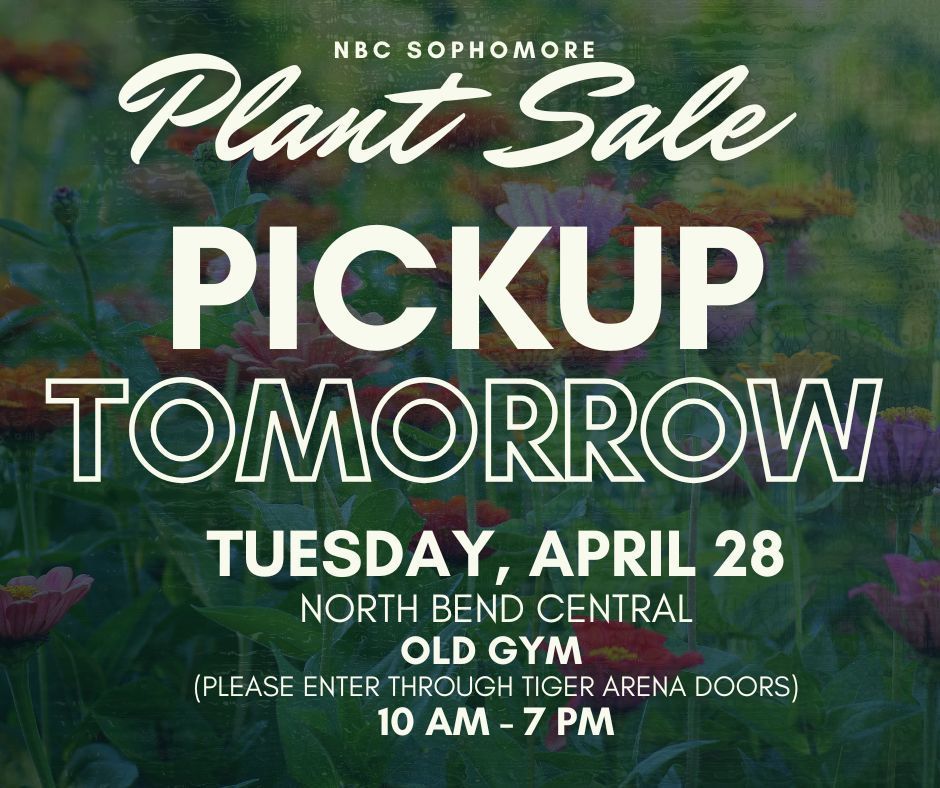 Plant Pick up tomorrow