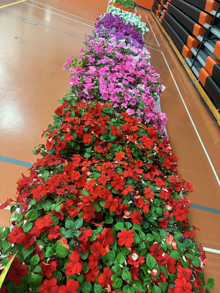 Plant Pick up tomorrow