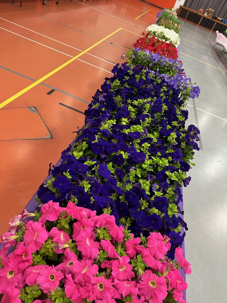Plant Pick up tomorrow
