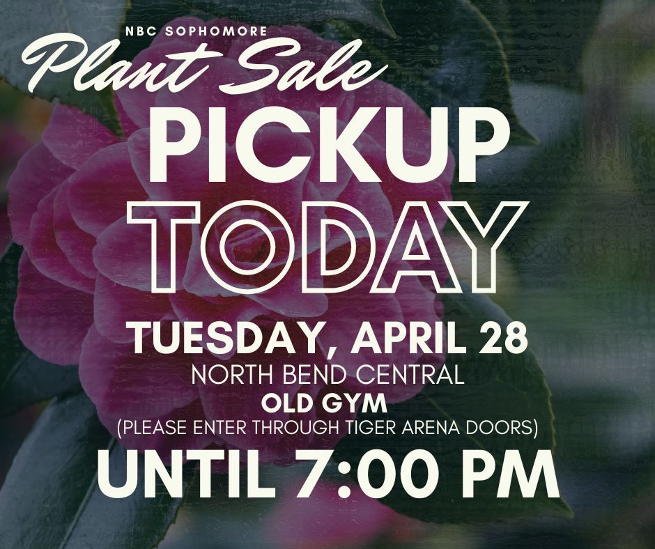 Plant Sale pick up