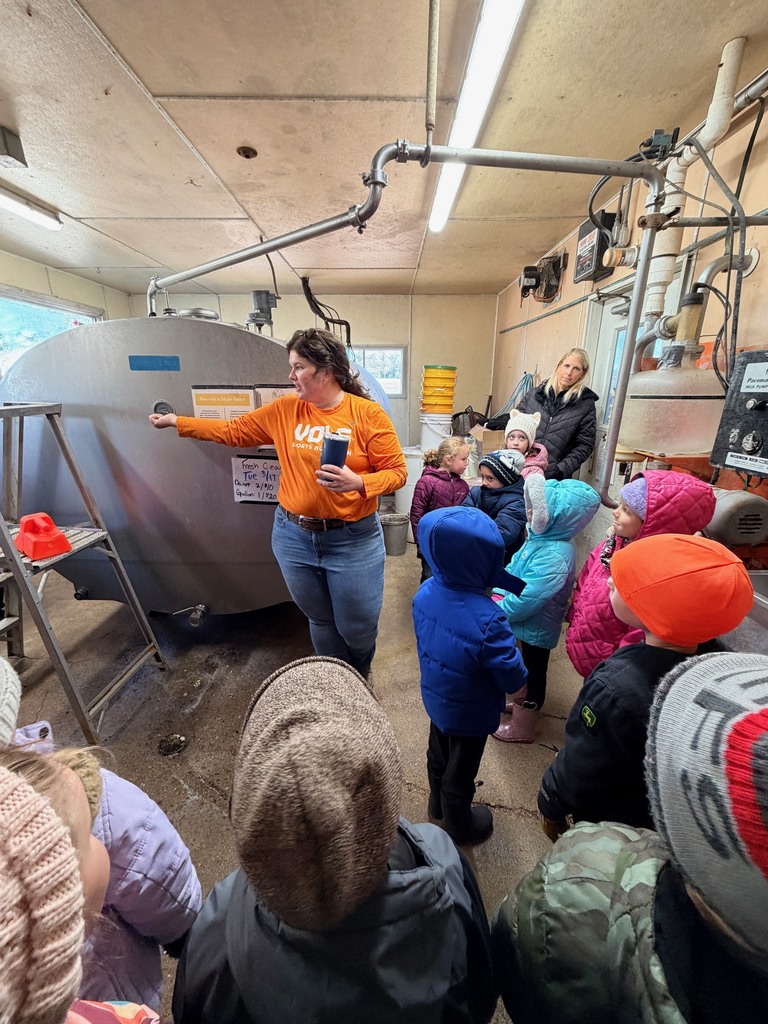 kindergarten field trip