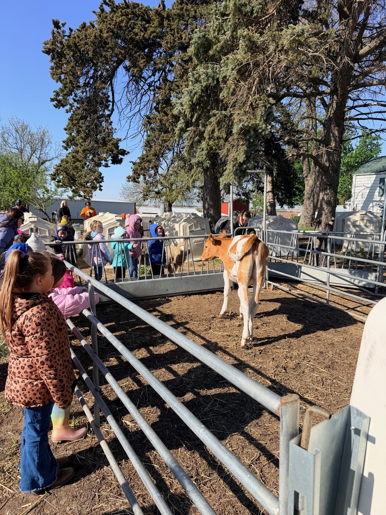 kindergarten field trip