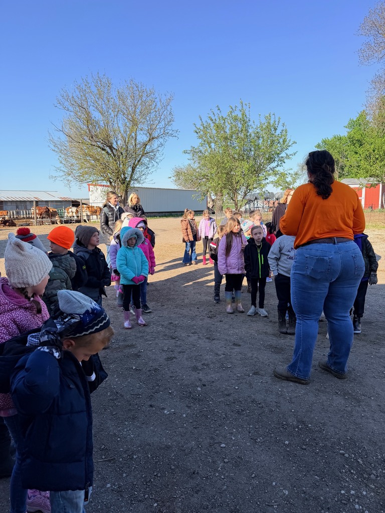 kindergarten field trip