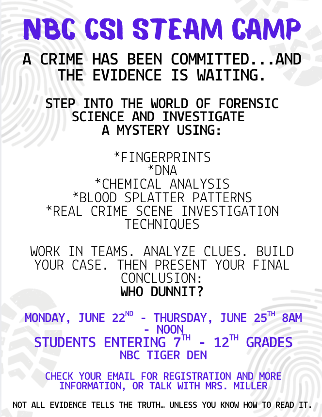 STEAM Camp