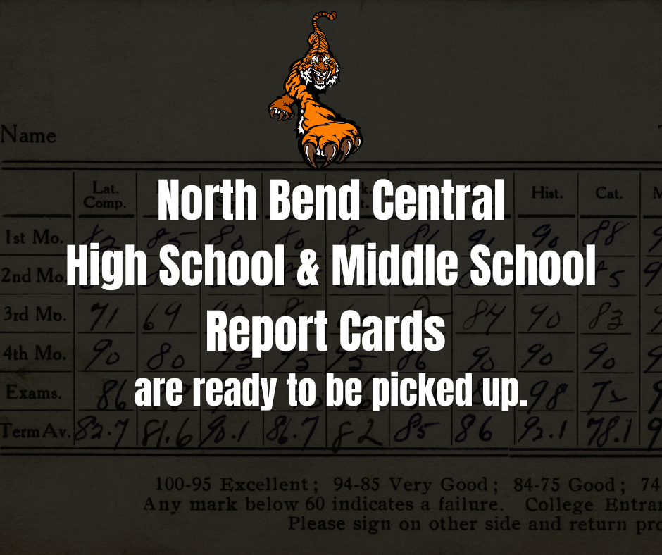 Report Cards