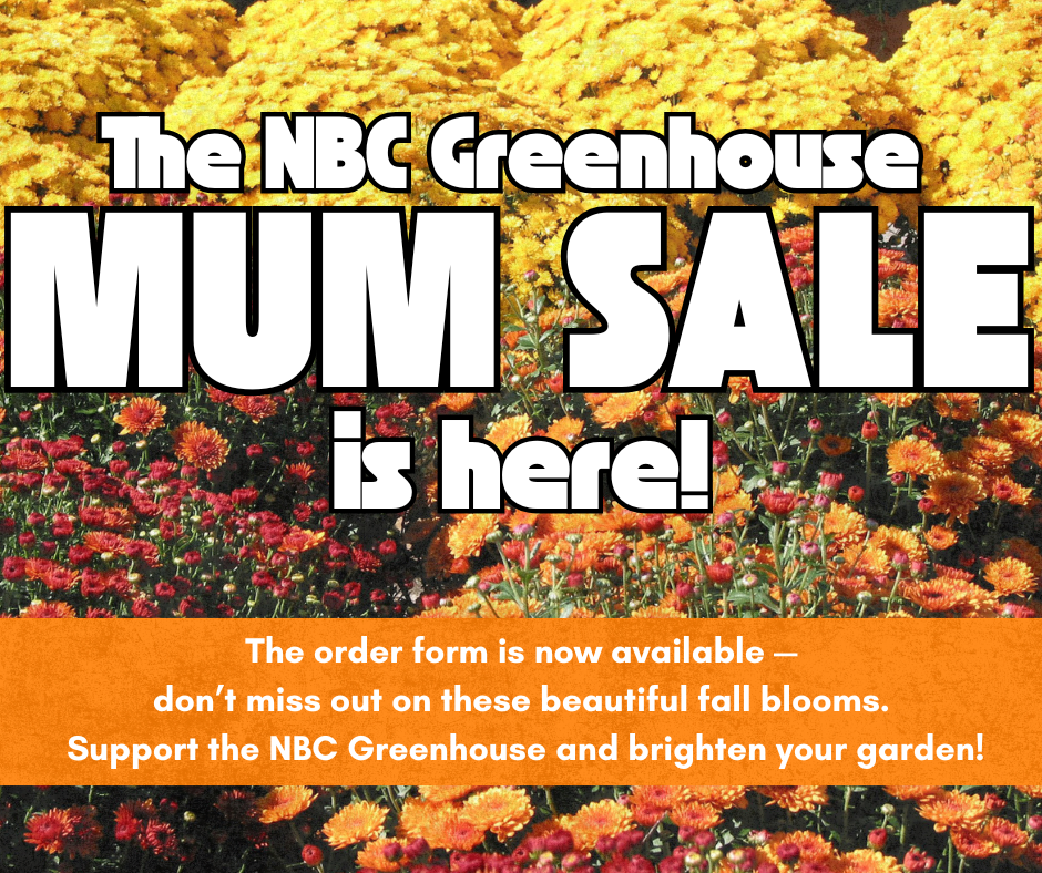 Mum Sale