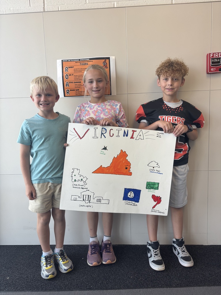 3rd Grade Project