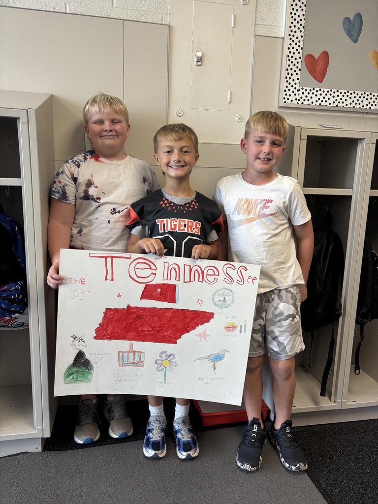 3rd Grade Project