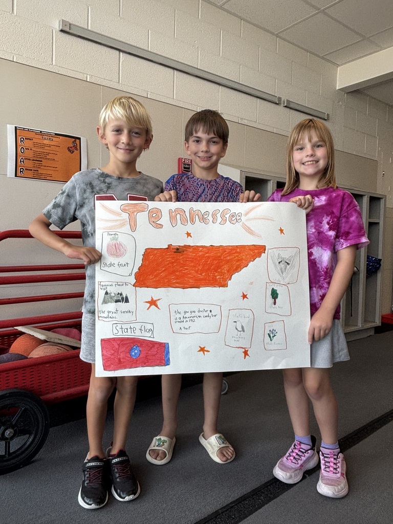 3rd Grade Project