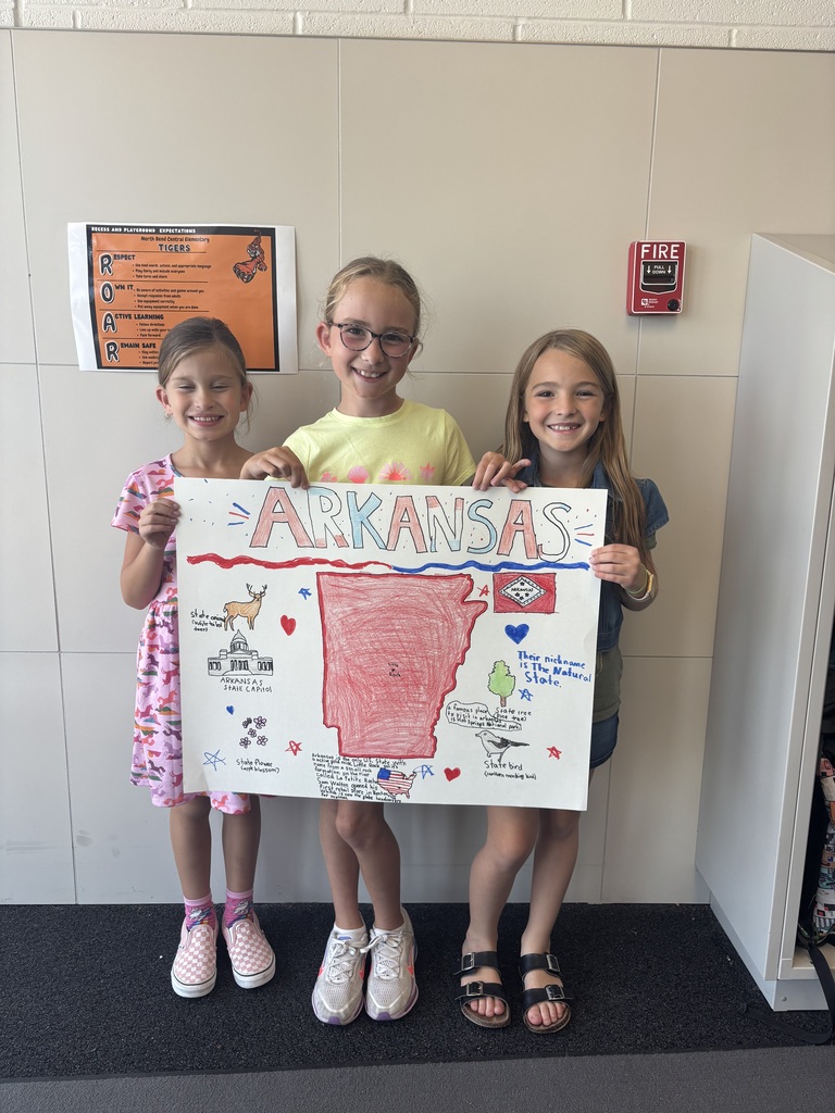 3rd Grade Project