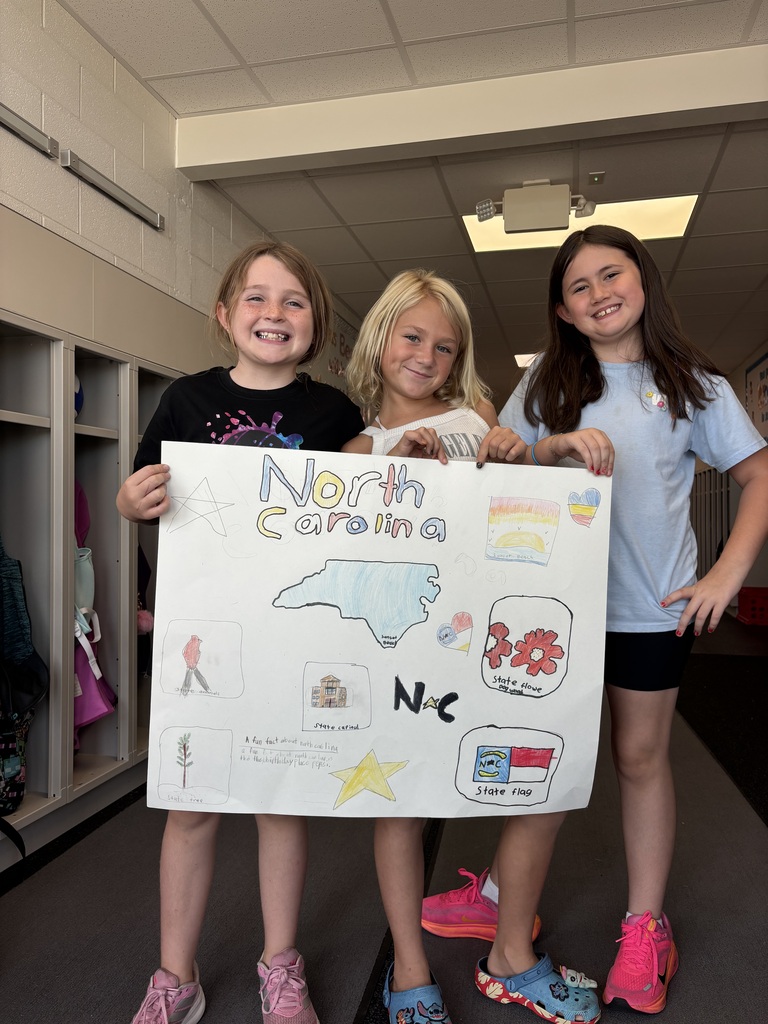 3rd Grade Project