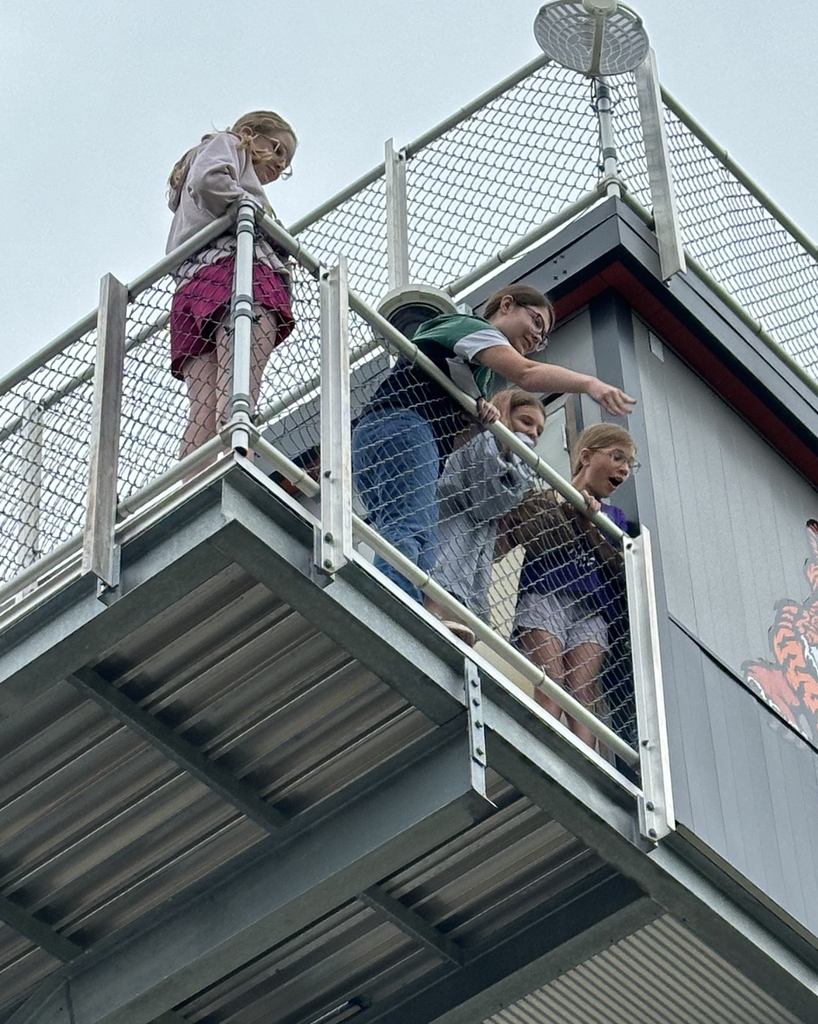 STEAM Egg Drop