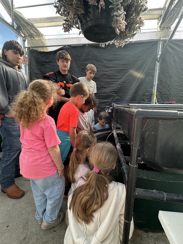 1st Grade Field Trip