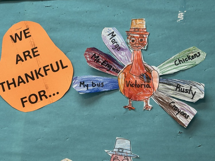 We are thankful for...